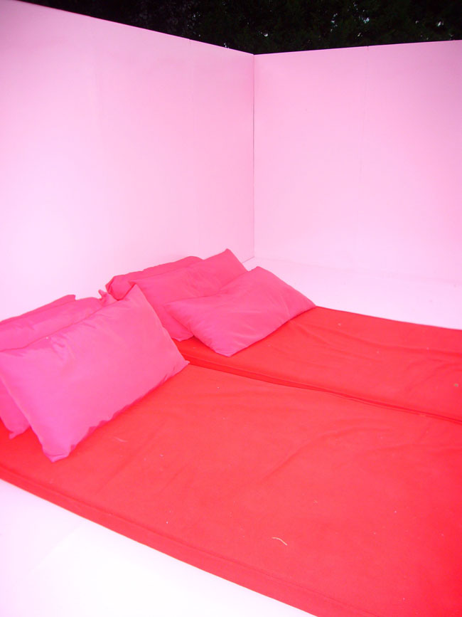 Homepage image: Tilman